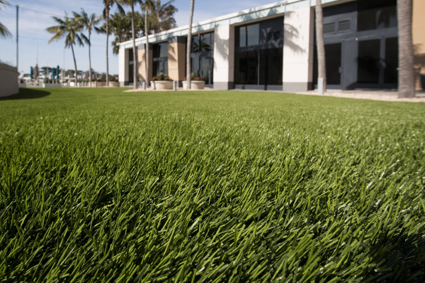 Artificial turf installer services in Burlingame