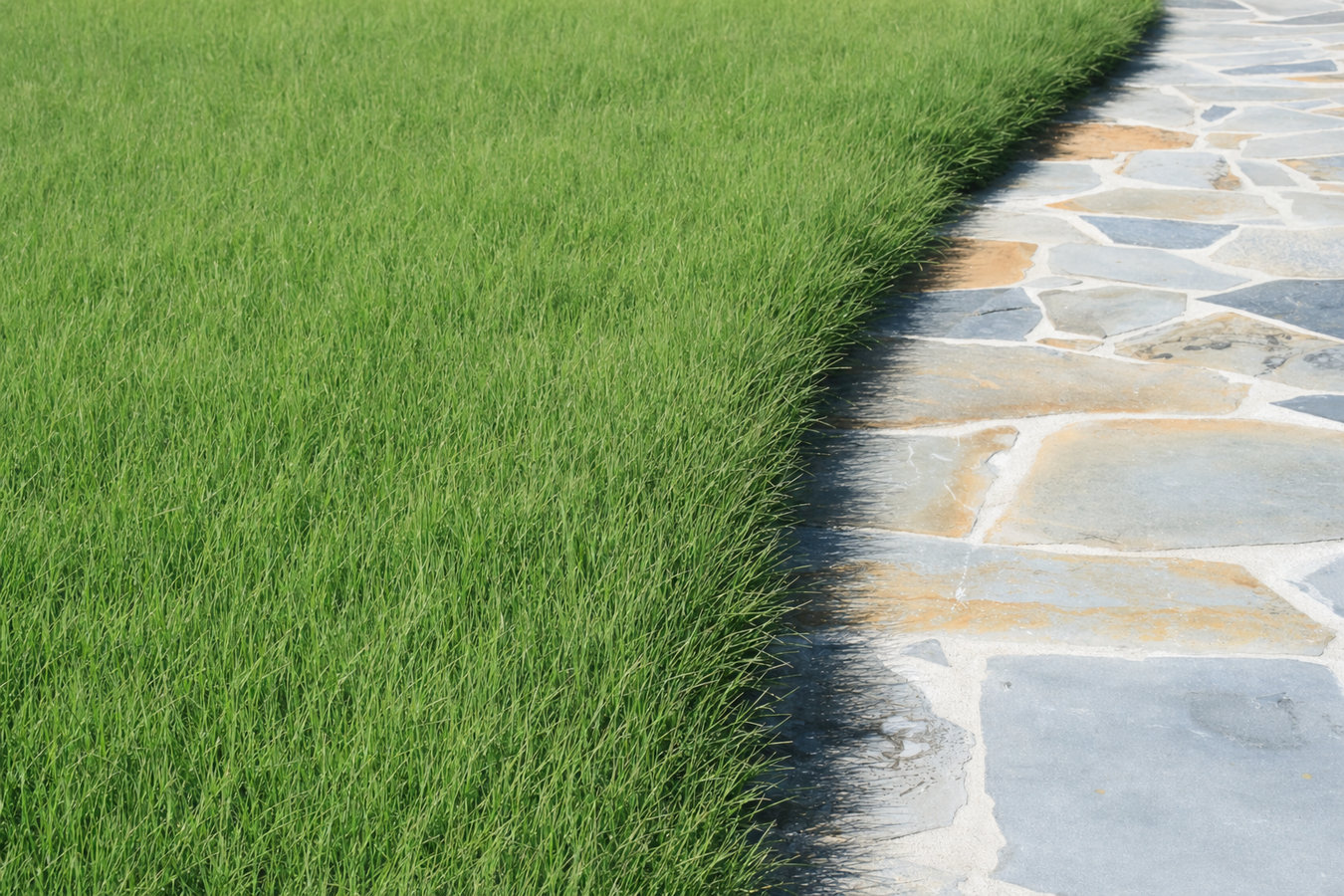 Artificial turf installer services in Redwood City