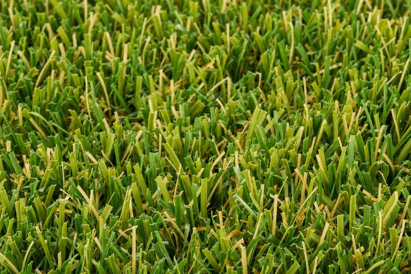 Artificial Turf Installer in San Bruno, CA