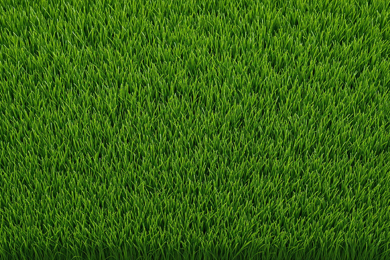 Synthetic Lawn Turf in San Bruno, CA