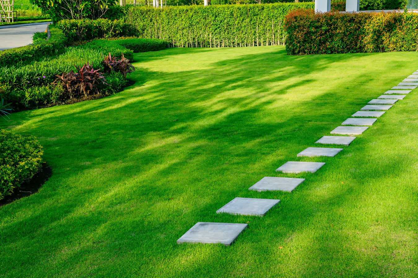 Turf maintenance services